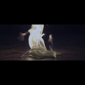 Meet your Posher, Melisa